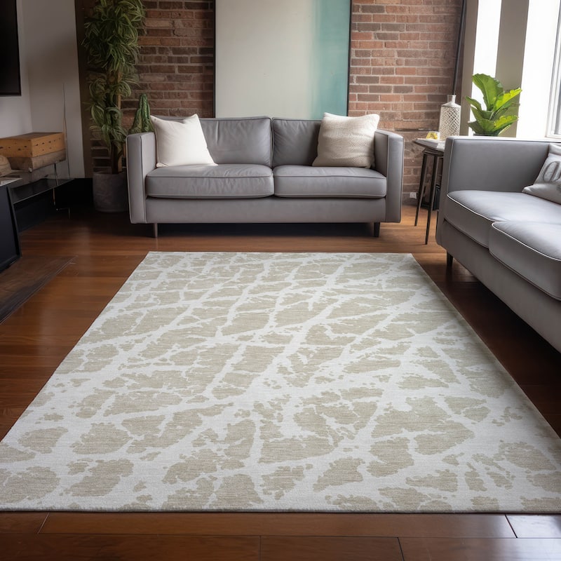Machine Washable Indoor/ Outdoor Transitional Beige Crackle Chantille Rug