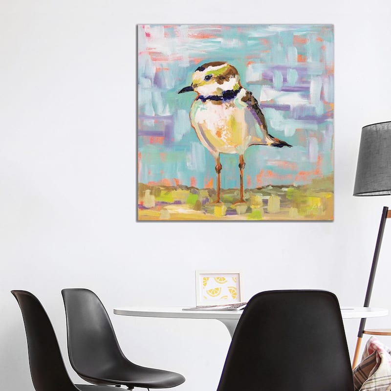 iCanvas "Coastal Plover II" by Jeanette Vertentes Canvas Print - 37x37x1.5