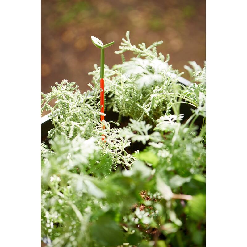 Keter Urban Bloomer Flower Plant Planter Raised Elevated Garden Bed With Self Watering Feature