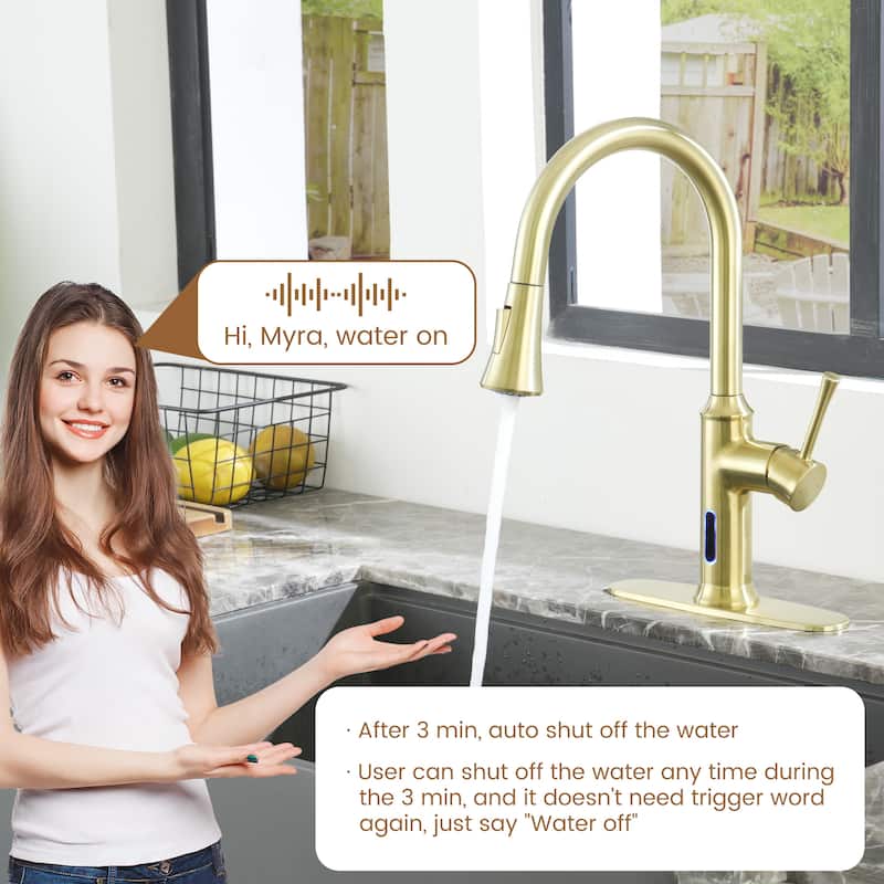 Smart Touchless Single Handle Pull-Down Sprayer Kitchen Faucet with Infrared Sensor and Smart Voice Control