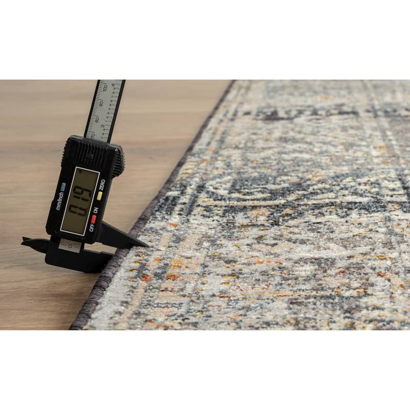 Amelia Collection Traditional Area Rug