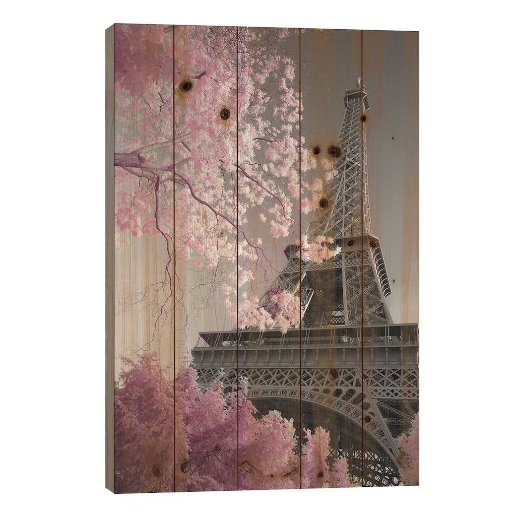 Paris Eiffel Tower XIII Print On Wood by David Clapp - Multi-Color
