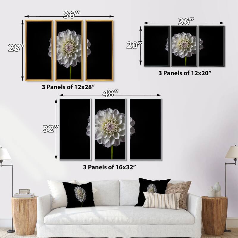 Designart "Isolated Dahlia Flower in Black" Floral Framed Art Prints