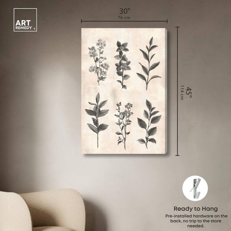 Sepia Stems Canvas by Art Remedy, Gallery Wrapped