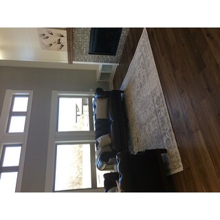 Safavieh Adirondack Dakota Distressed Vintage Boho Oriental Rug