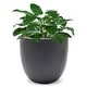 preview thumbnail 56 of 111, Tapered Round MgO Planter, Indoor and Outdoor