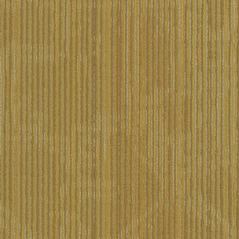 Shaw Philadelphia Commercial Encrypt 18" x 36" Glue Down Carpet Tile - - Vector