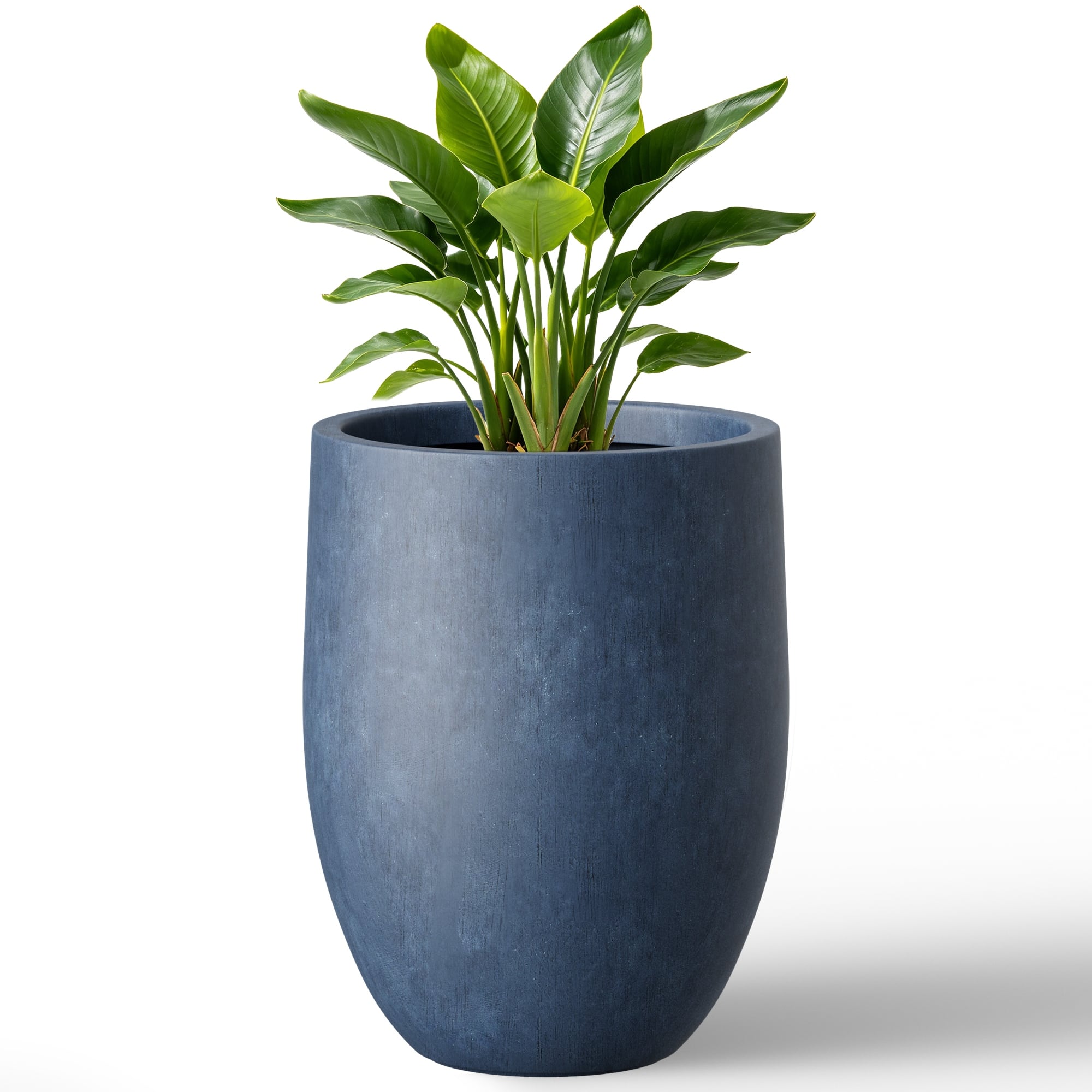 Option Dark Blue