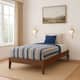 Option Walnut