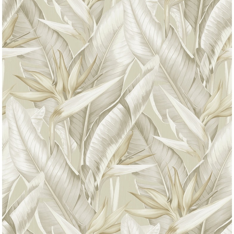 Kenneth James Arcadia Beige Banana Leaf Wallpaper - 20.5in x 396in x 0.025in