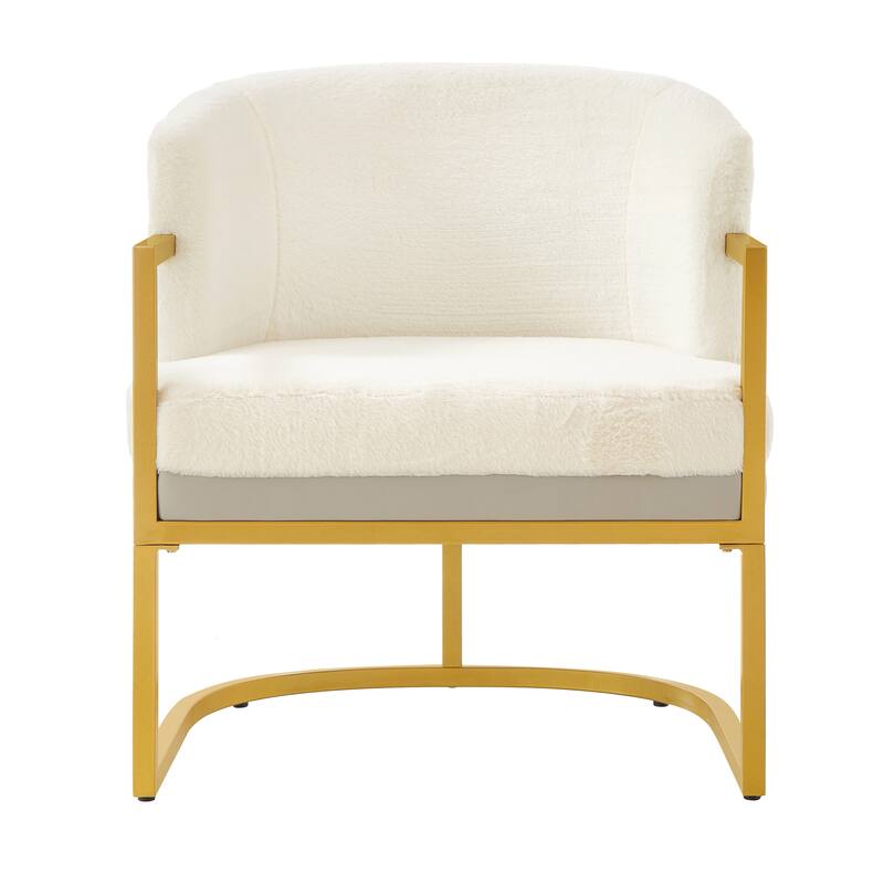 Modern Accent Chair Cozy Armchair Upholstered Reading Chair with Gold Metal Frame Living Room, Bedroom, or Office