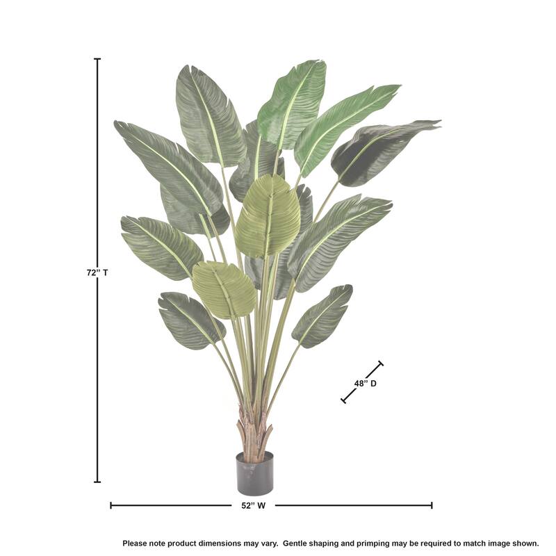 Potted UV Deluxe Traveler's Palm 6'
