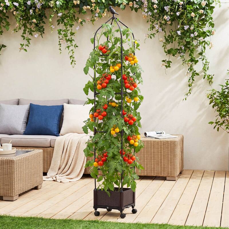 Costway 1/2 PCS Raised Garden Bed Tomato Cage Planter Box with