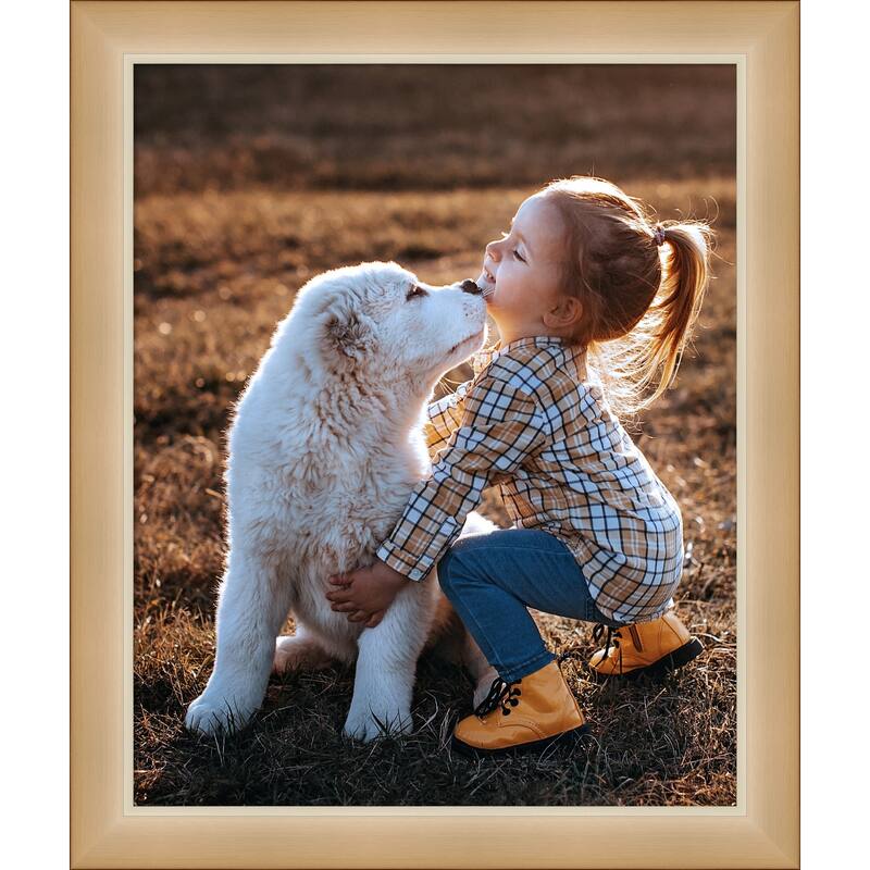 Eva Black Silver Narrow Framed Picture Frame, Photo Frame - 18x22 - Eva Ombre Gold Narrow