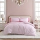 preview thumbnail 1 of 4, Betsey Johnson Wonderland Stripe Reversible Pink Duvet Cover Set