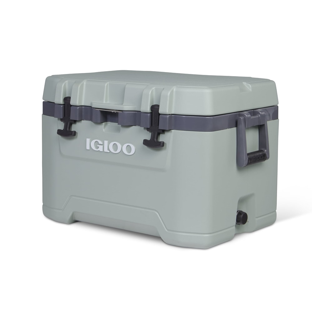 Save on Igloo Essential Tote Cooler Bag Blue Trellis Order Online Delivery
