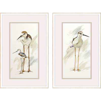 Stilt Birds S/2 Framed Art Under Glass - Brown