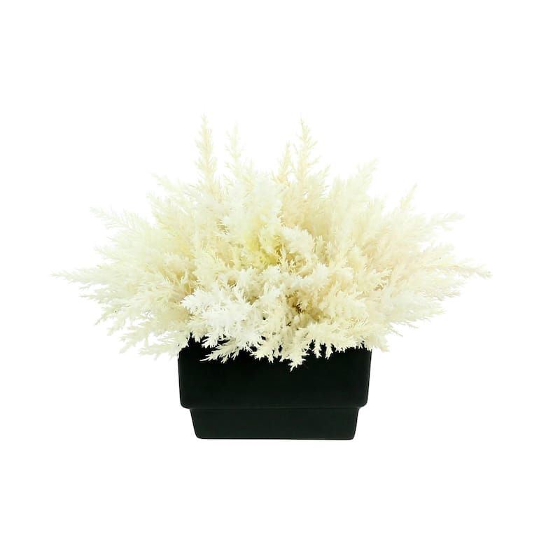 Pampas Grass Arrangement in a Square Planter - Black, White