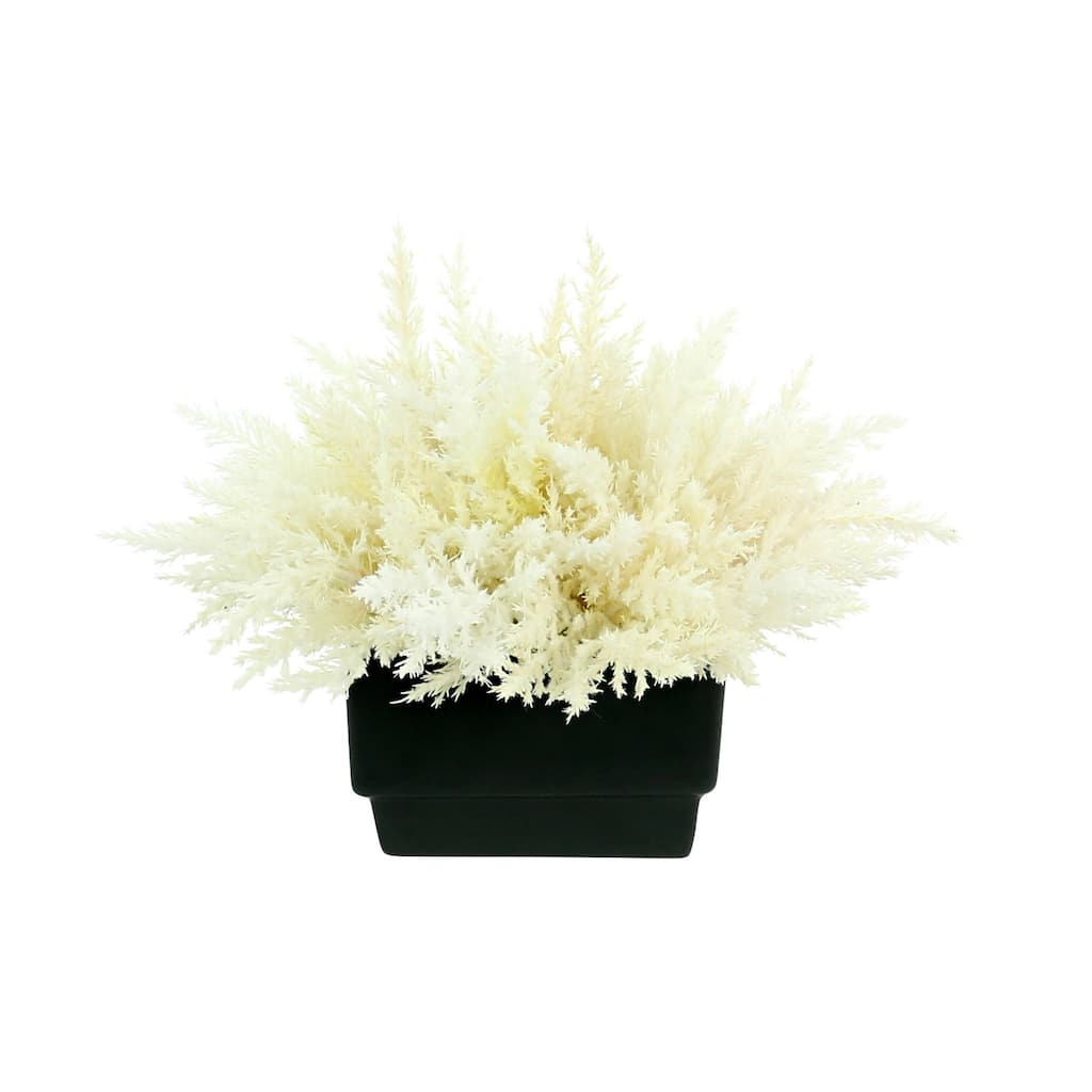 Pampas Grass Arrangement in a Square Planter - Black, White