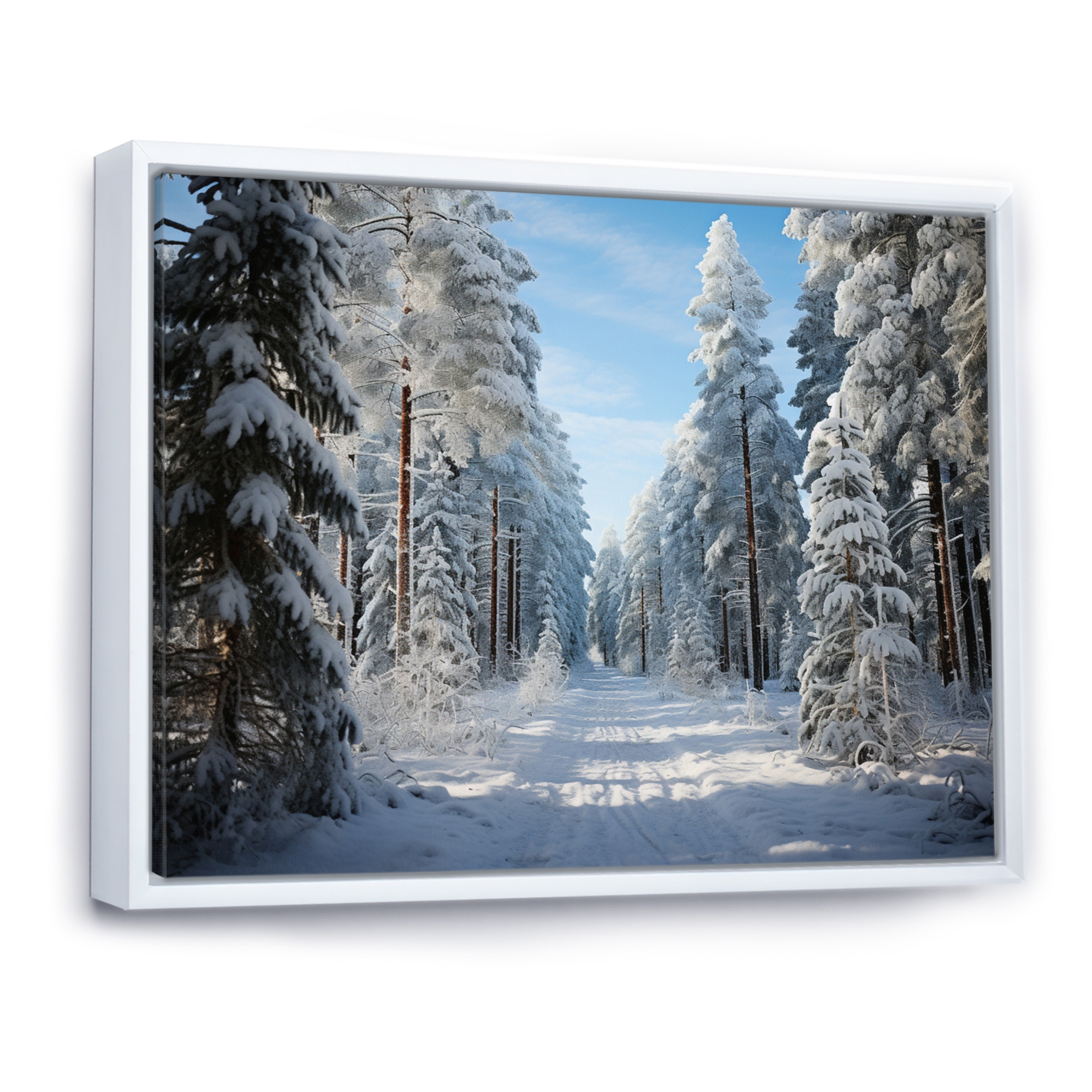 絵画 Evergreen Valley 絵画 Evergreen Valley 絵画 Evergreen Valley 絵画 Evergreen Valley