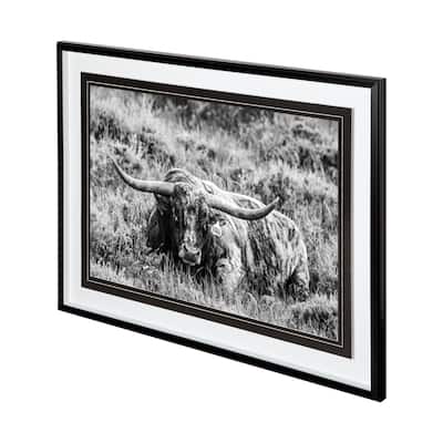 B&W Longhorn III Framed Art Print