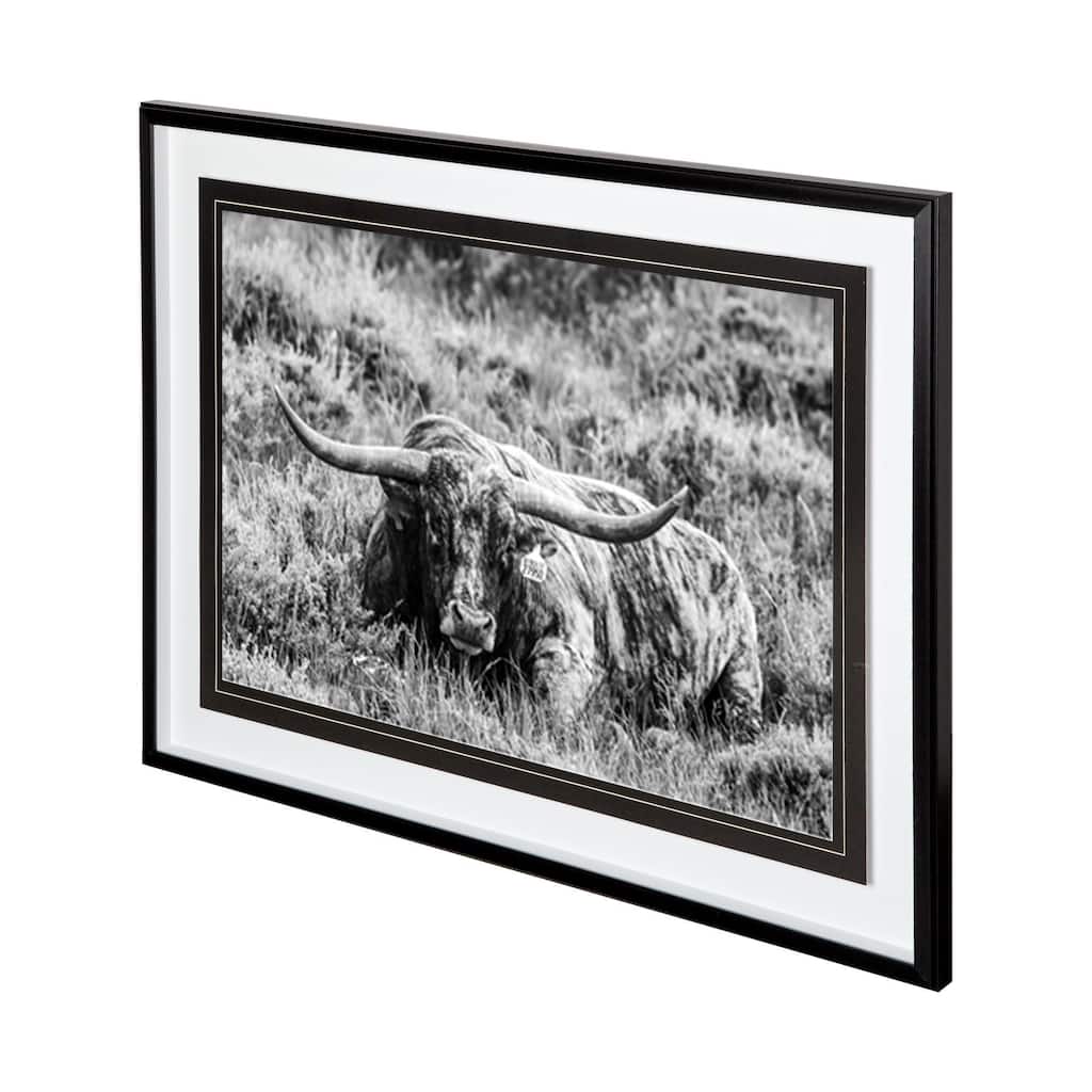 B&W Longhorn III Framed Art Print