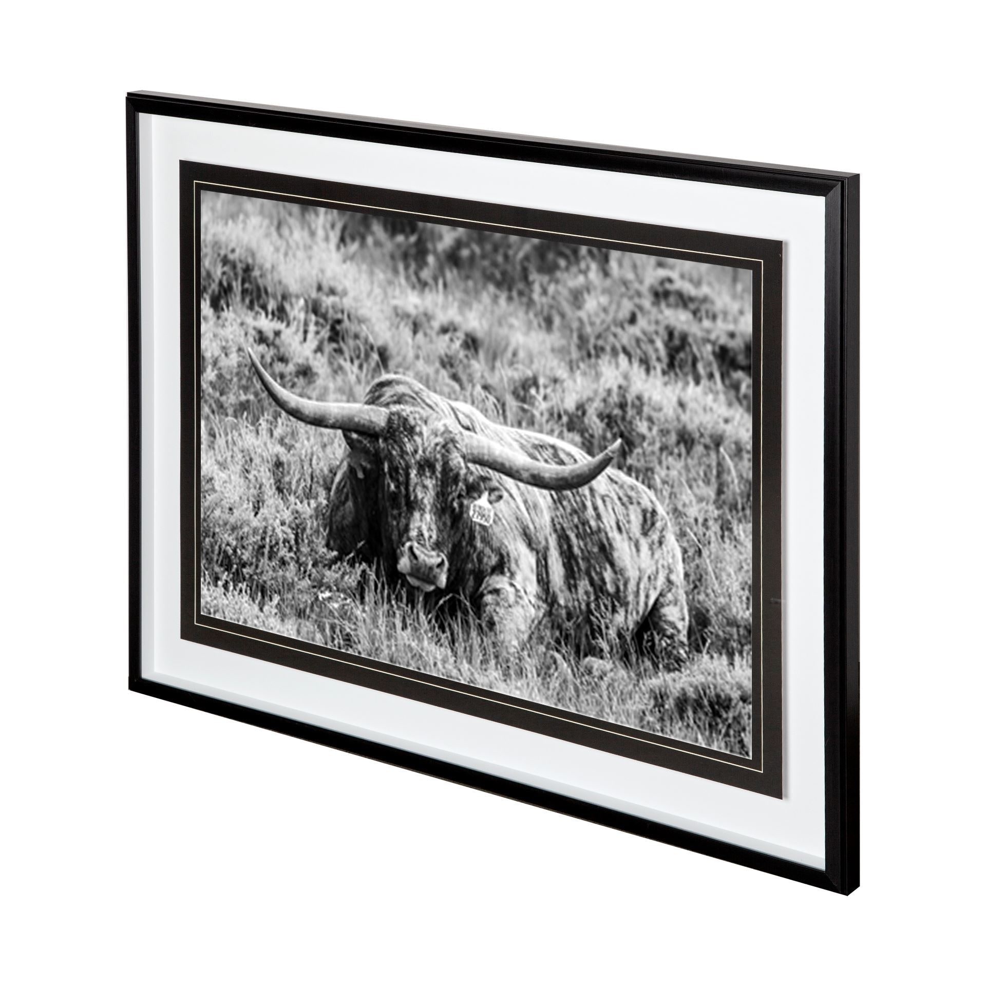 B&W Longhorn III by Tyler Stockton a Framed Photo Art Print Matted under Glass