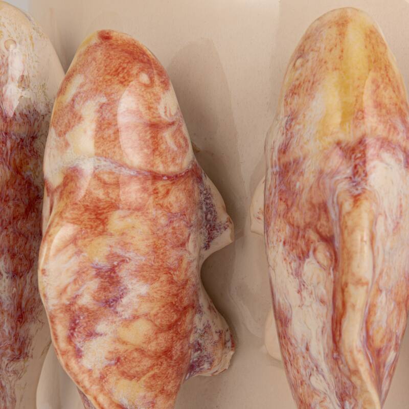 Stoneware Planter with 3D Fish and Reactive Glaze - 8.75"L x 8.75"W x 5.5"H