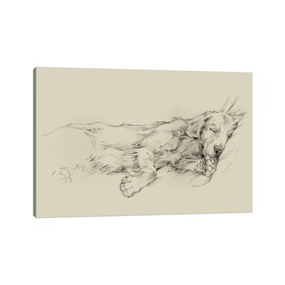 iCanvas "Dog Days III" by Ethan Harper Canvas Print