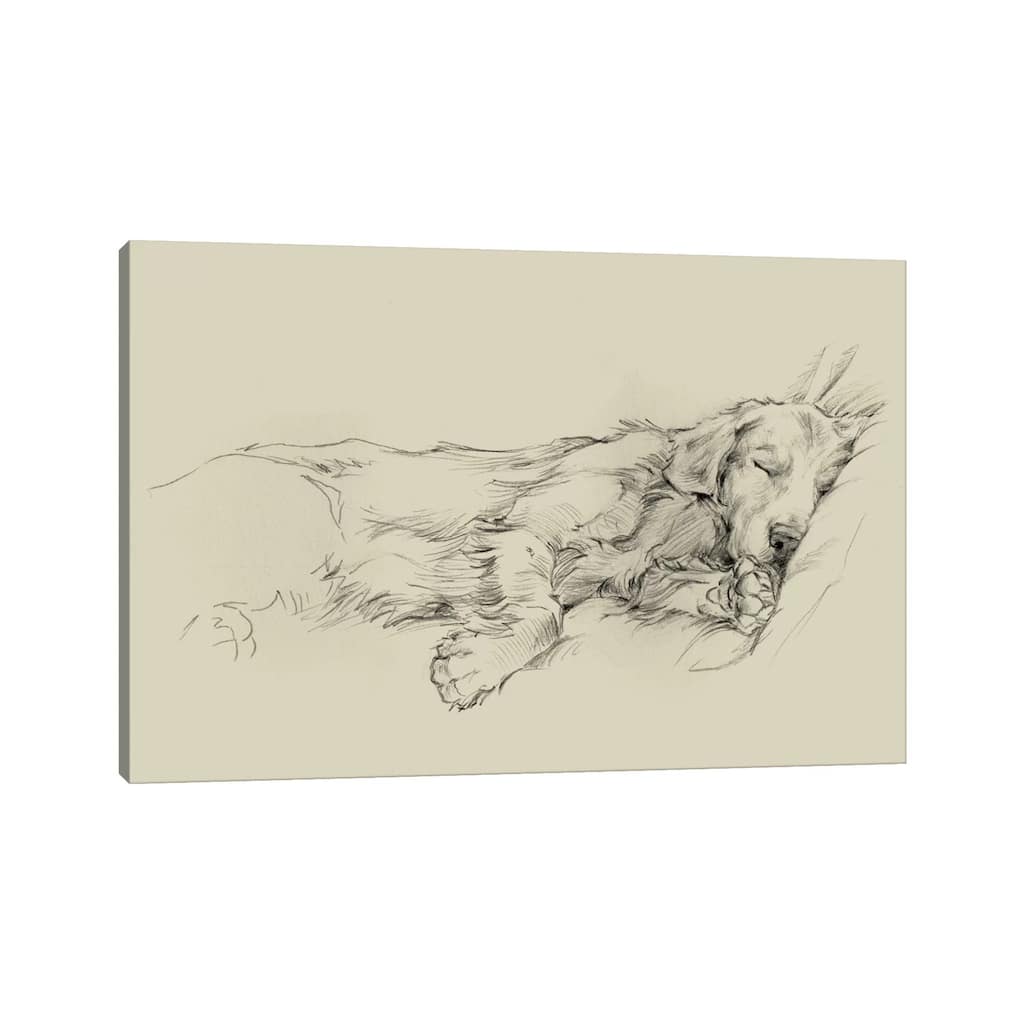 iCanvas "Dog Days III" by Ethan Harper Canvas Print