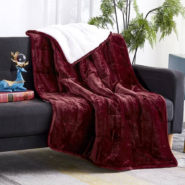 Kids Velvet Sherpa Weighted Throw Blanket 6 Lb 40x60 Inches Overstock