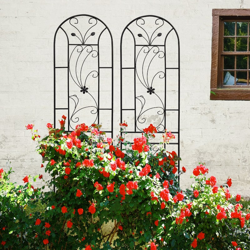 4 Pack Metal Garden Trellis Rustproof Trellis for Climbing Plants Outdoor Flower Support Black