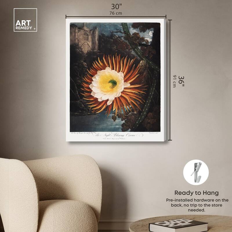 Night-Blowing Cereus 1807 Canvas by Art Remedy, Gallery Wrapped