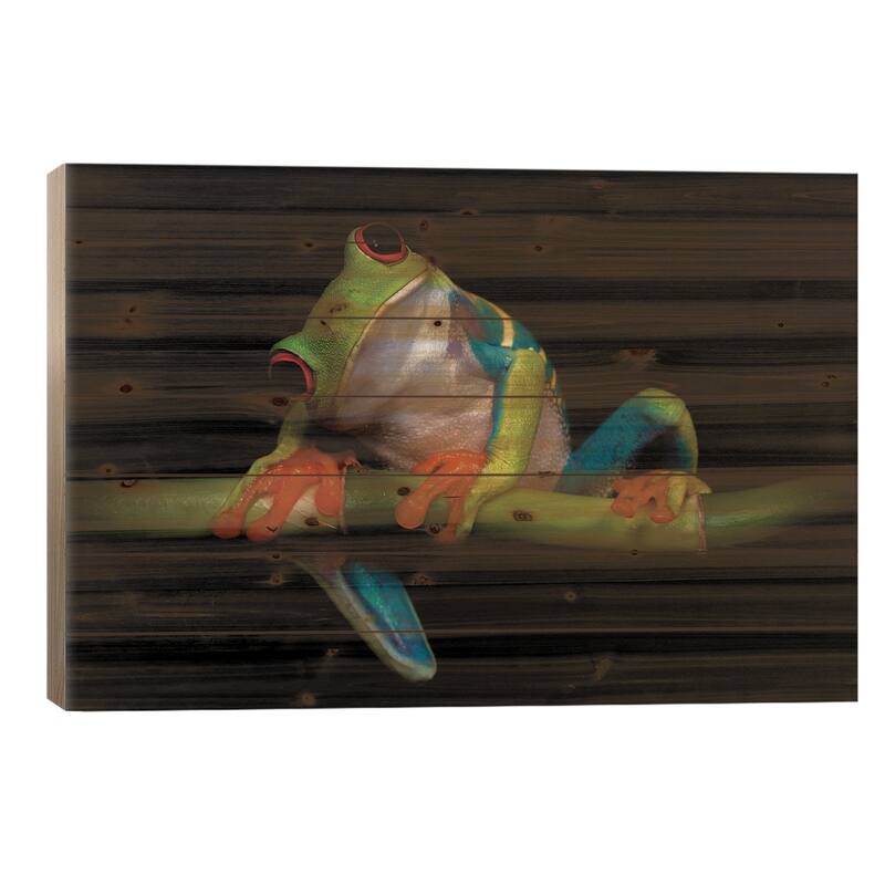 Curiosity Print On Wood by Ferdinando Valverde - Multi-Color - 18x26x1.5