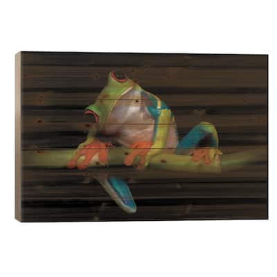 Curiosity Print On Wood by Ferdinando Valverde - Multi-Color