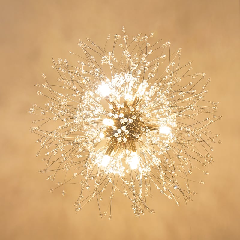 9-Light Dandelion Firework Pendant Ceiling Light Crystal Chandelier