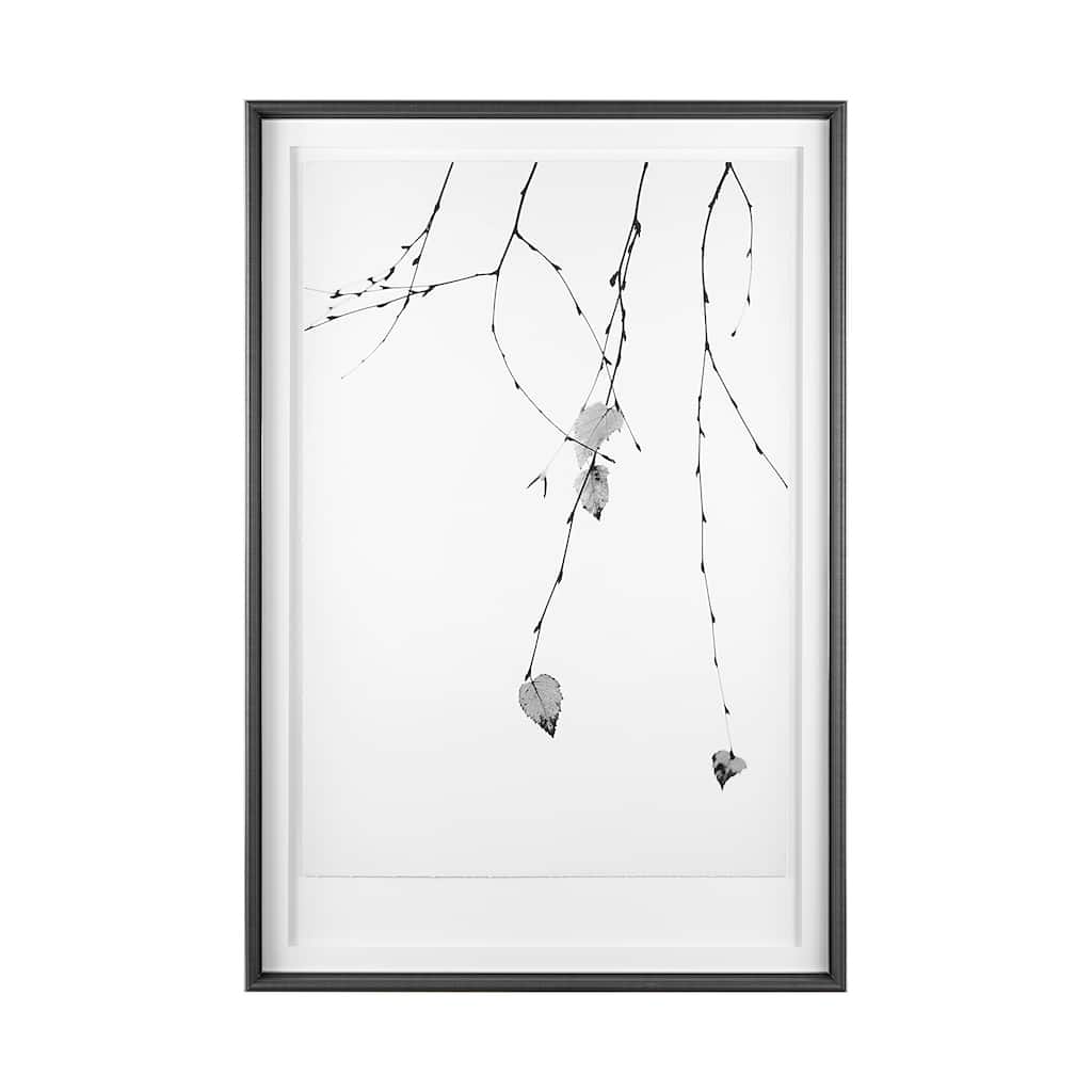 Solo Framed Art Print