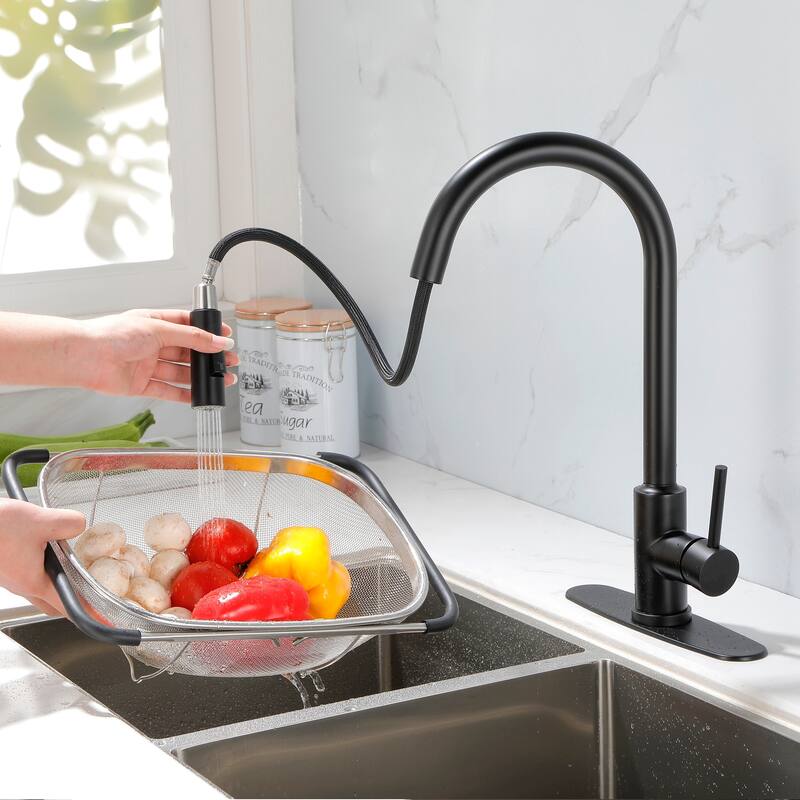2-Function 1-Handle Pulldown Kitchen Faucet