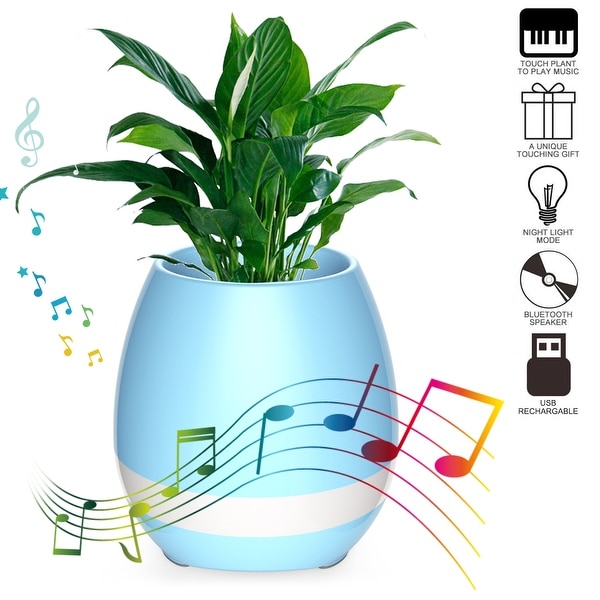 Musical plant cheap pot