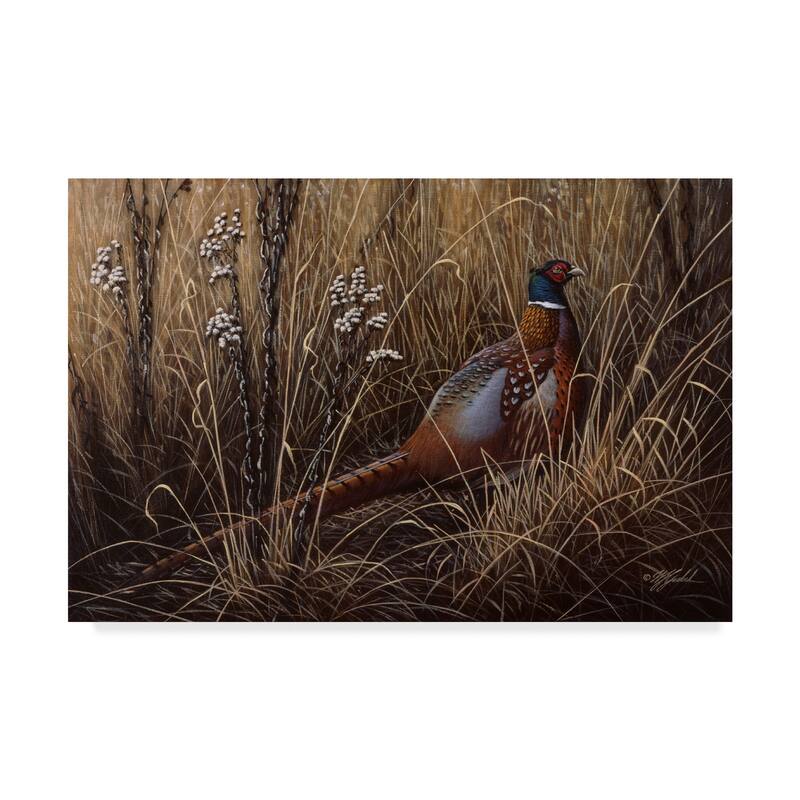 Wilhelm Goebel 'Pheasant In The Grass' Canvas Art