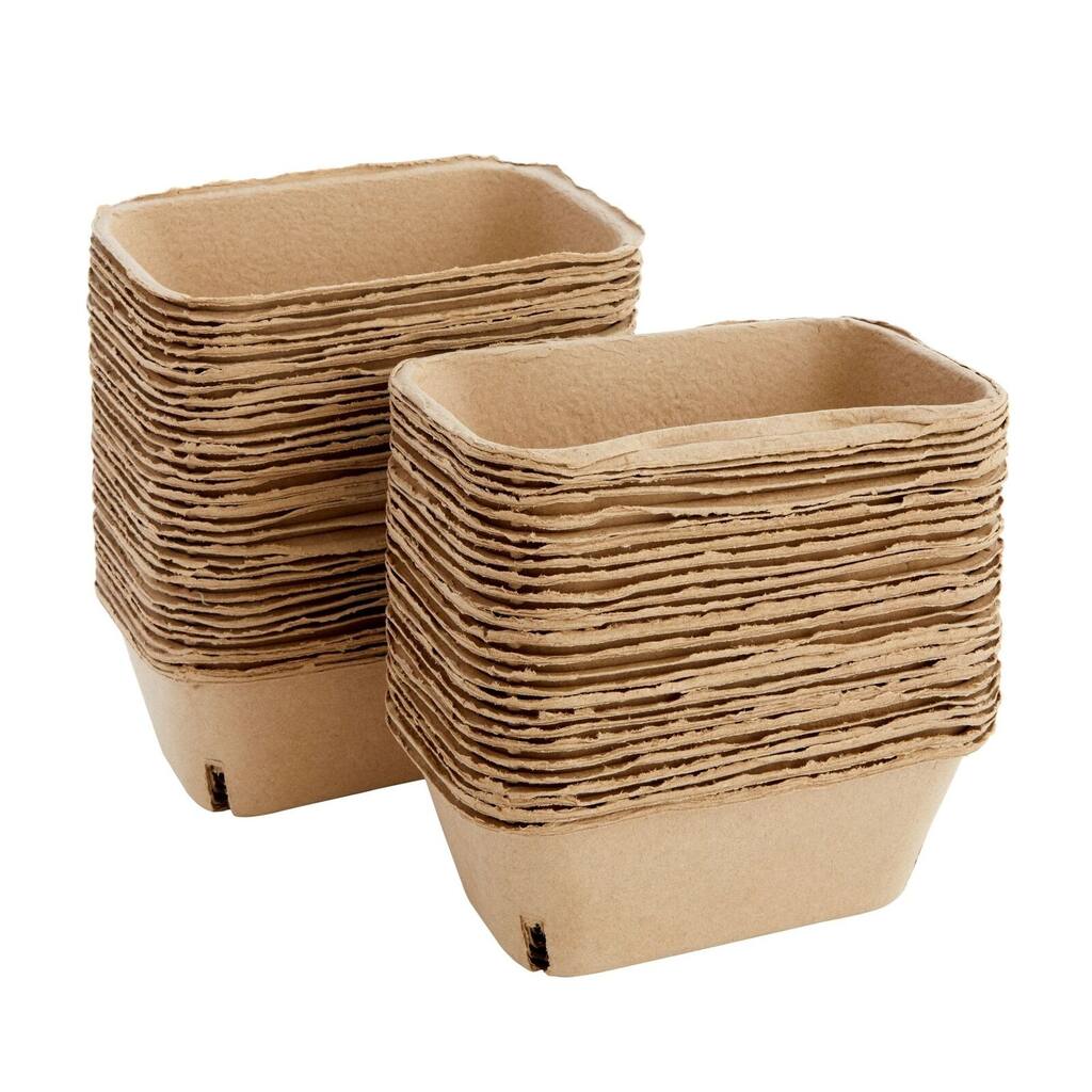 60 Pcs Pulp Fiber Berry Baskets