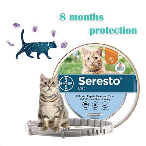 Bayer Seresto Flea and Tick Collar For Cat 8 Months Protection Treatment