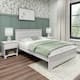 Option White Wash