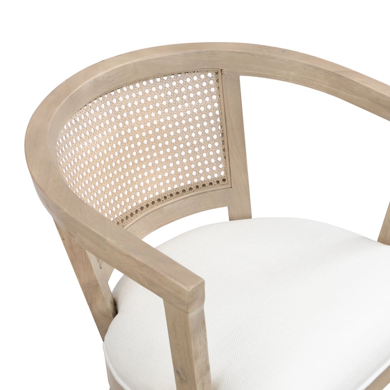 Currant Velvet and Cane Upholstered Dining Chairs by Christopher Knight Home- Set of 2