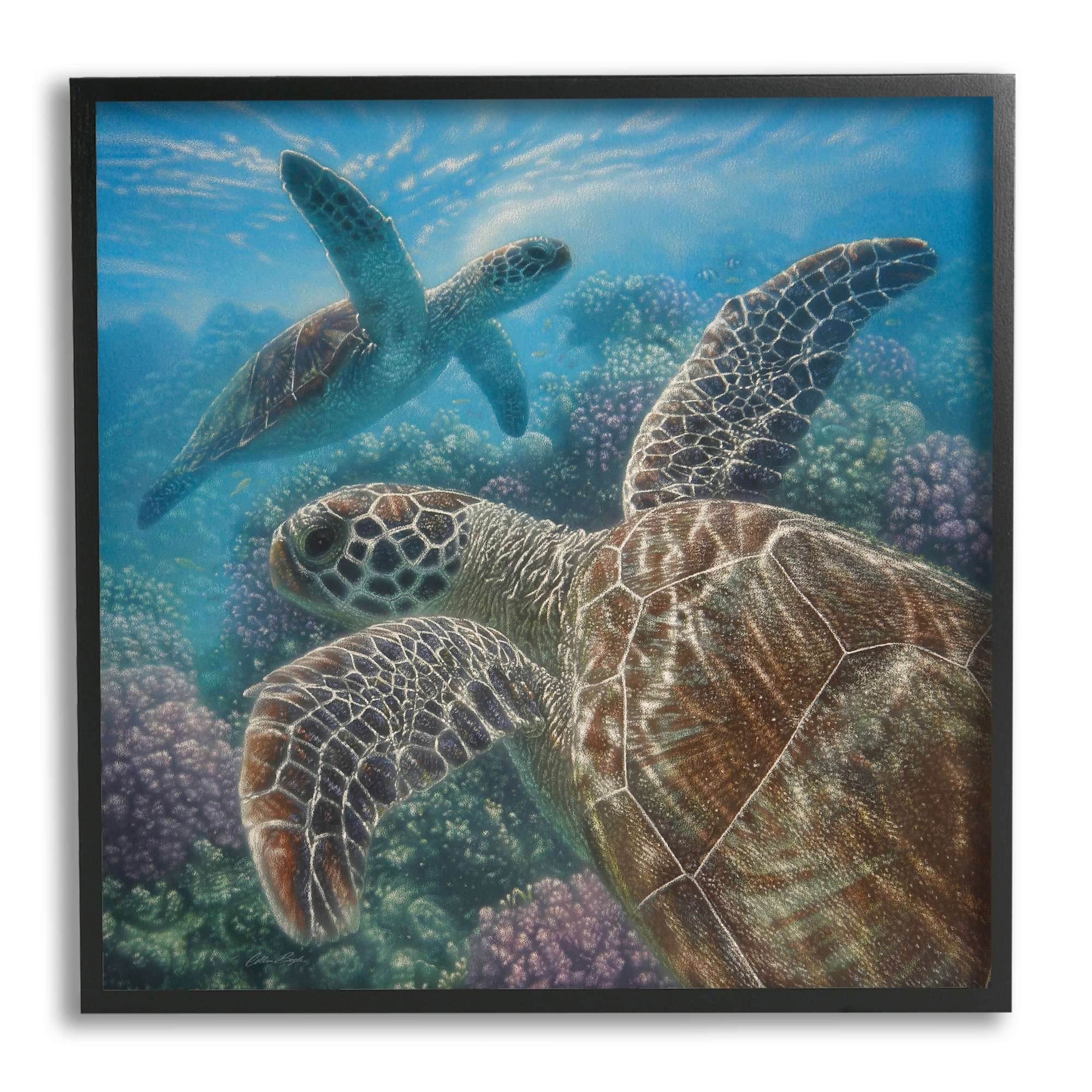 Ideal To Match Sea Turtle Quilts & Bedspreads. Sea Turtle Designs Lampshades 