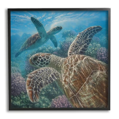 Stupell Sea Turtle Pair Coral Reef Ocean Life Scene Framed Wall Art