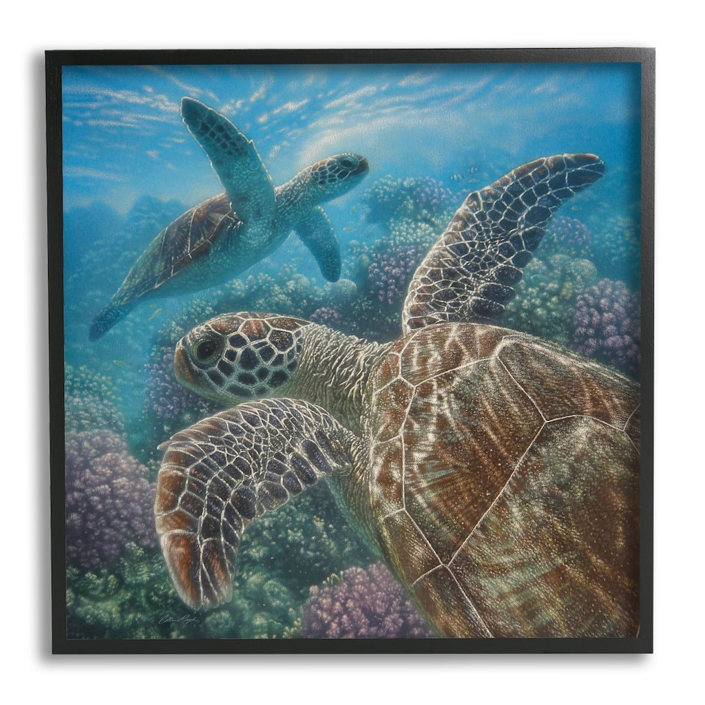 Stupell Sea Turtle Pair Coral Reef Ocean Life Scene Framed Wall Art