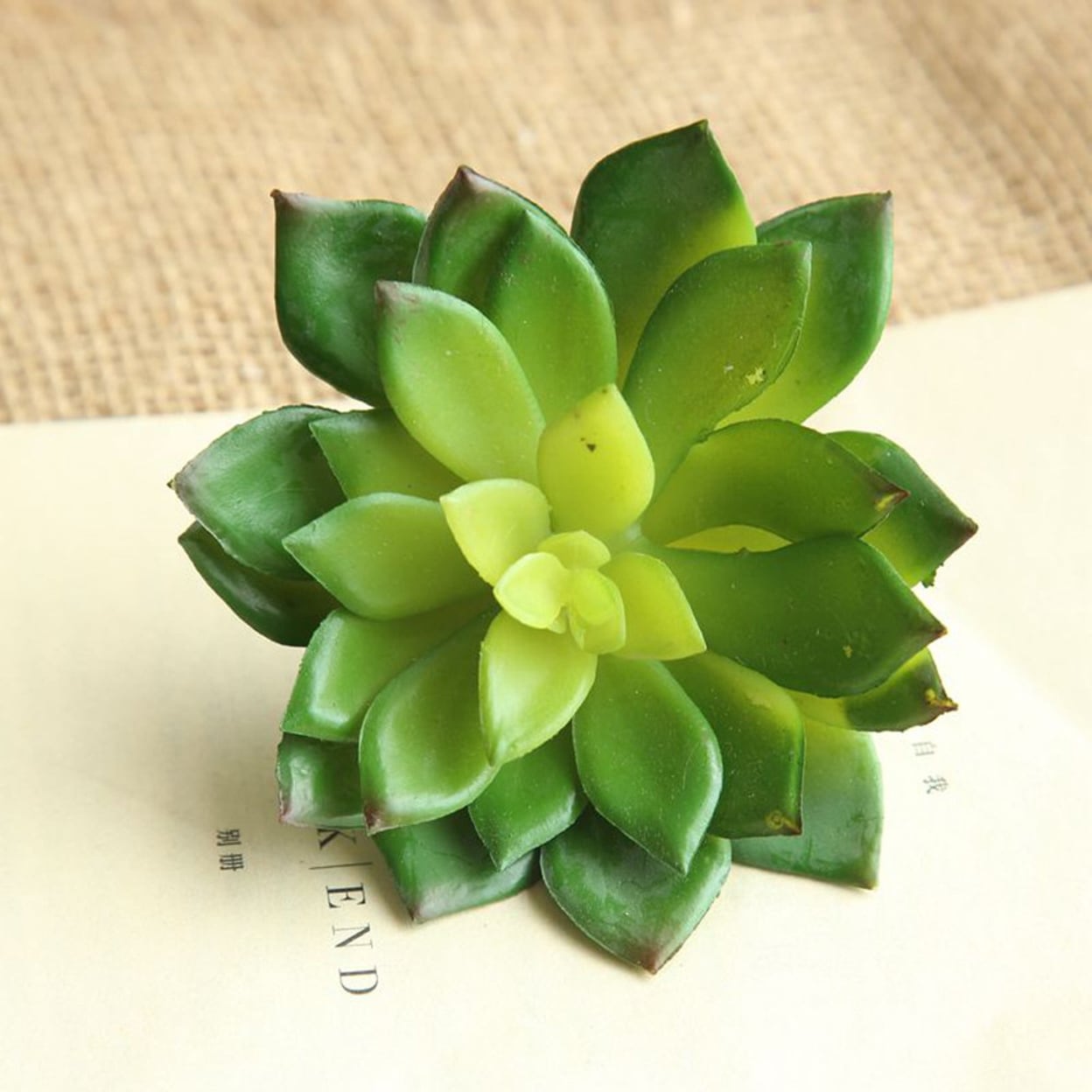 Artificial Succulents Plant Garden Miniature Fake Cactus DIY Home Floral Decor