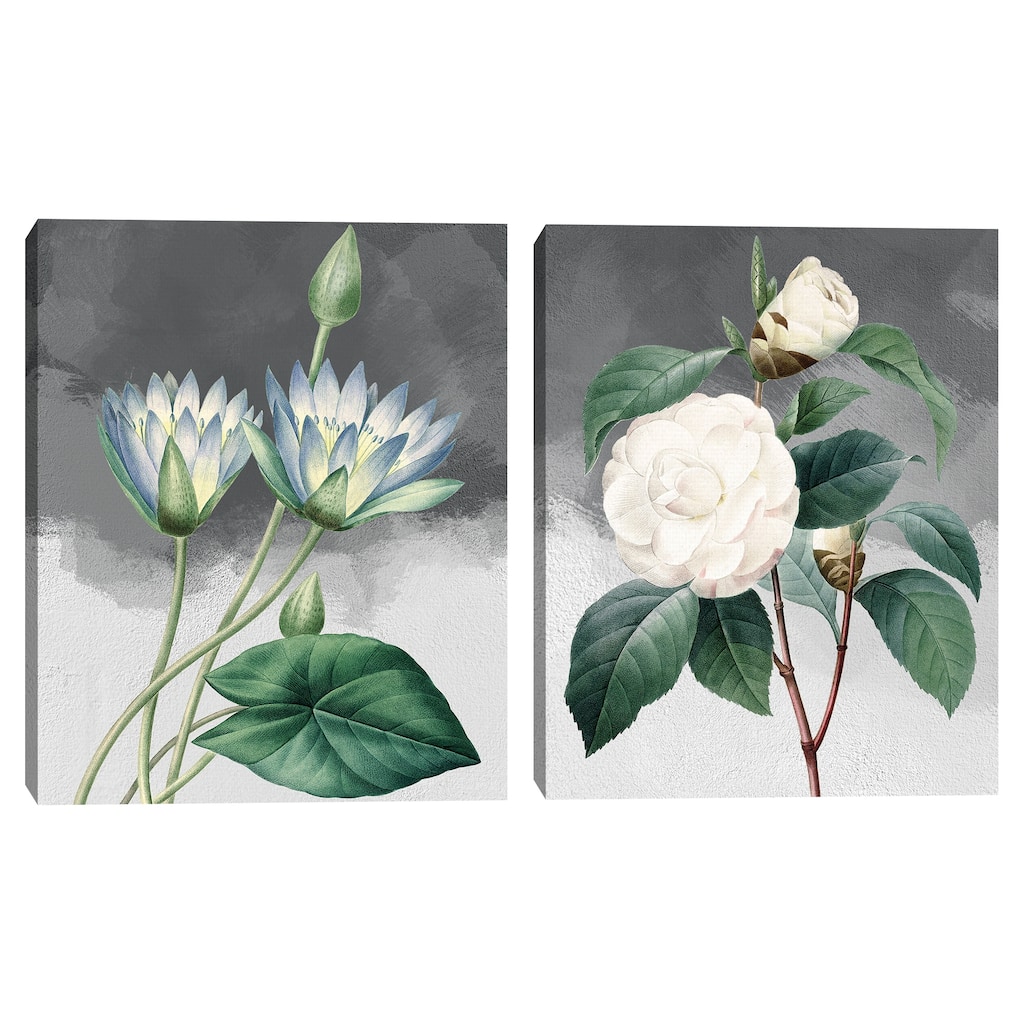 Blue Lotus & White Common Camellia Grey Canvas Art Prints