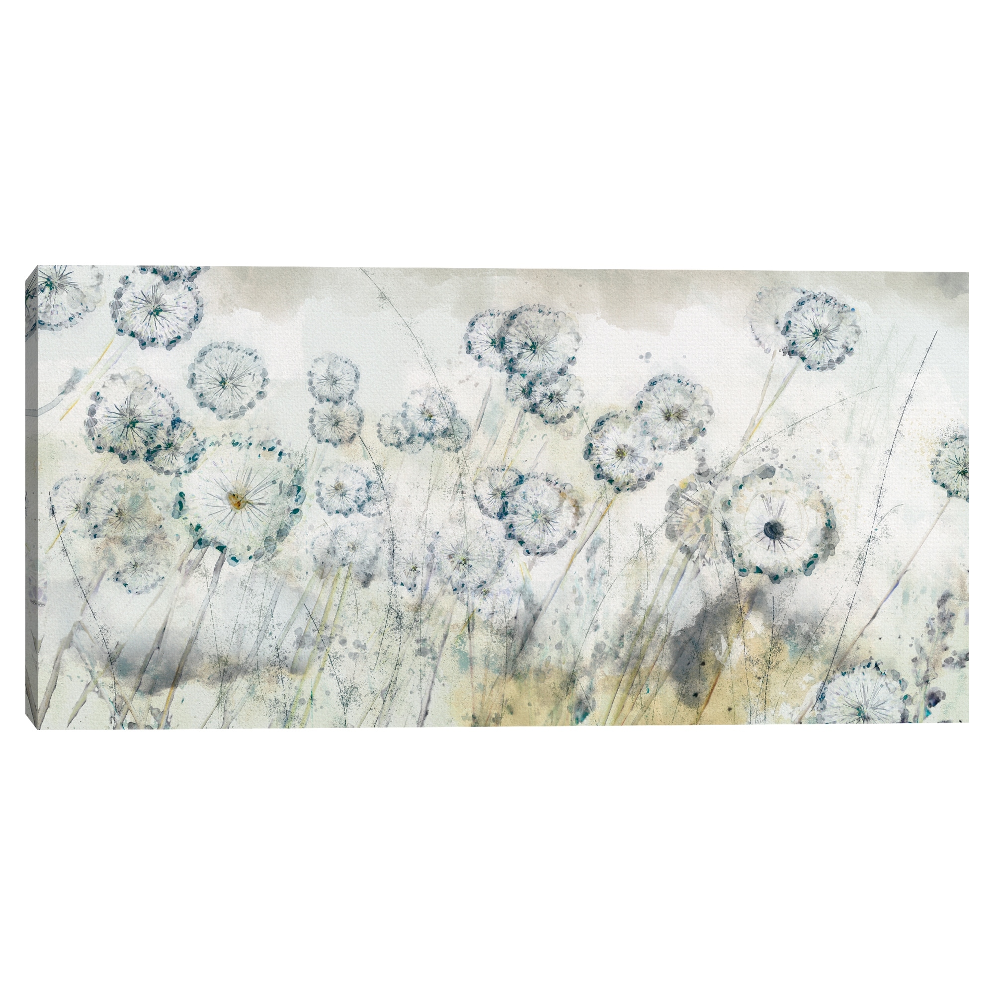Dandelion Spring by Studio Arts Canvas Art Print